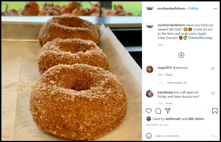 Apple Cider Doughnuts at Southern Belle Farm