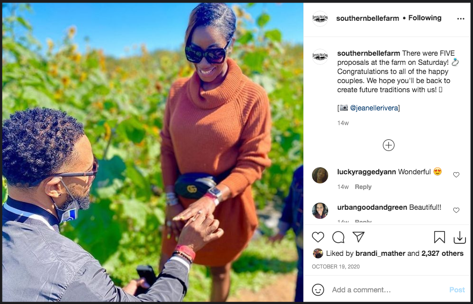 couple getting engaged at Southern Belle Farm