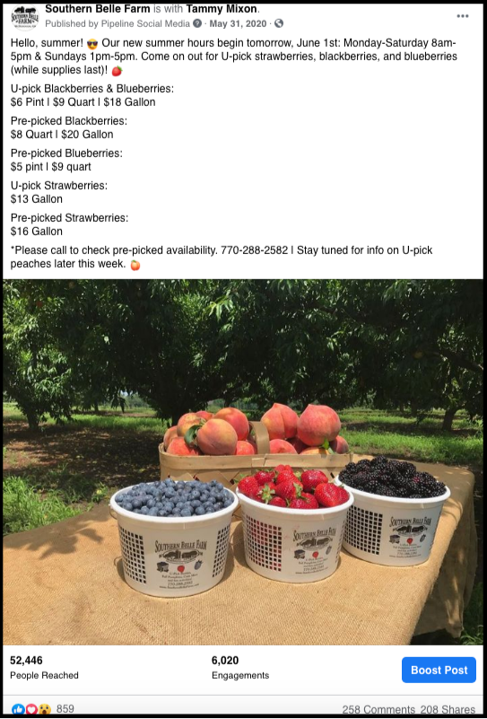 Blueberries, strawberries, peaches, and blackberries in buckets at Southern Belle Farm