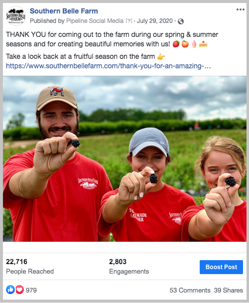 Three Southern Belle Farm employees holding up blueberries at the camera